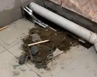 涞源县卫生间漏水检测哪家好